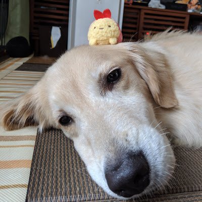 sK5FLHzNNlaQmLK's profile picture. 