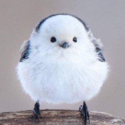 sonseun9914's profile picture. 나는야나는야 풀스택 개발자였다가 퇴사를 했다네