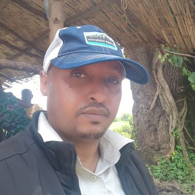 chalachewtesse1's profile picture. 