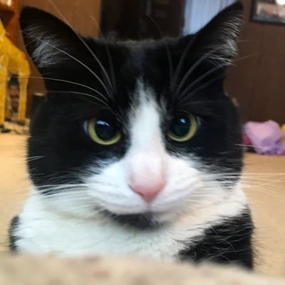 Robert_Vietor88 Profile Picture