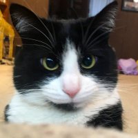 Robert (@robert_vietor88) 's Twitter Profile Photo Robert (@robert_vietor88) 's Twitter Profile Photo