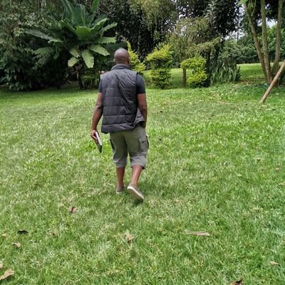 eligithua's profile picture. An Owl. Unconventional!