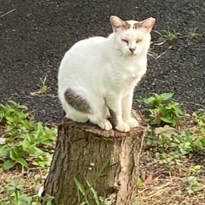 jjC9IVo2odk3bLJ's profile picture. 