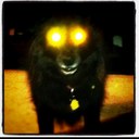 Gene Parrish - @nomulletshere - Twitter