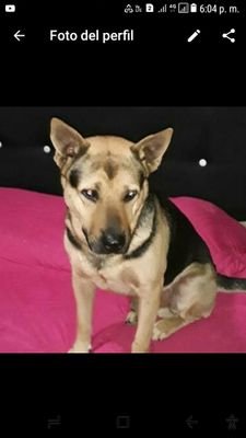 Robinso94126822's profile picture. 