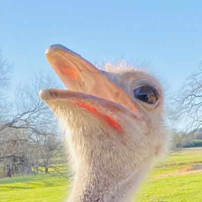 caseylopez13's profile picture.