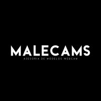MaleCams(@MaleCams2) 's Twitter Profileg