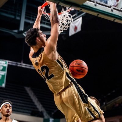 redshirt junior 6’8 F/C