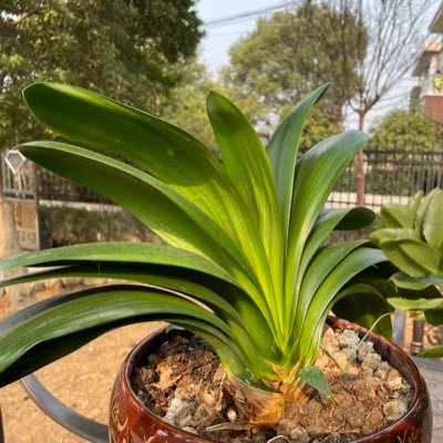 jone4488's profile picture. 我深深的爱着自己的国，让他早日实现民主自由