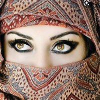 علیزے میر (@khanalezay) 's Twitter Profile