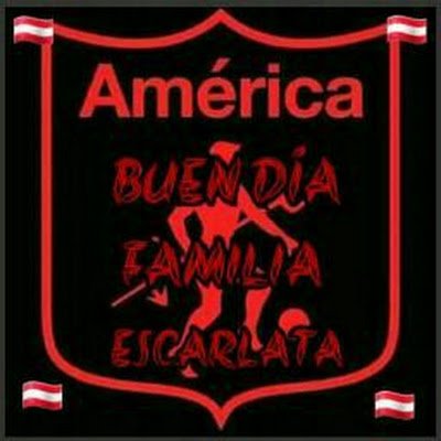 Edgardo29004497's profile picture. Honesto soltero trabajador