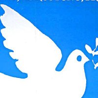 attacKE Cottbus (@a____cottbus) 's Twitter Profile