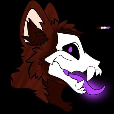 acherontheskull's profile picture. age:19
he/they