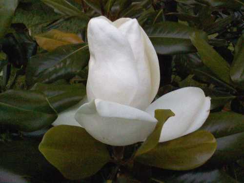 1tngrits's profile picture. 