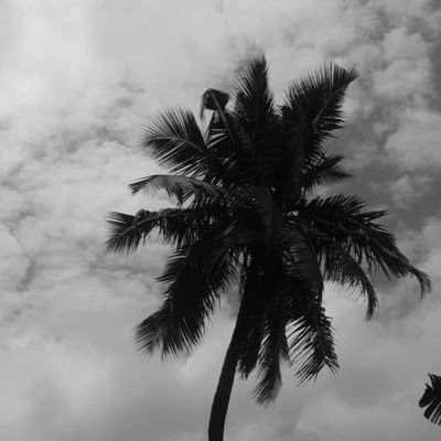 justmeayoo's profile picture. 