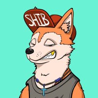 Shibclub ERA | On Zksync Era Mainnet (@shibnftsclub) 's Twitter Profile