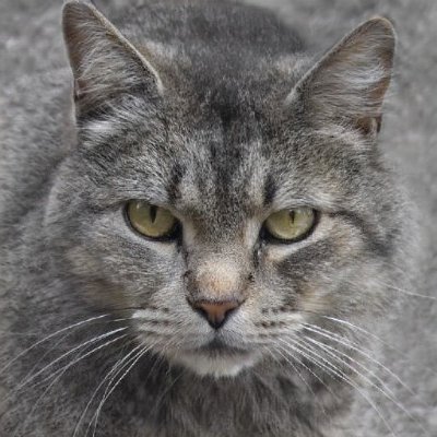 GinaJoh86113397's profile picture. 💯💯💯💯💯💯💯💯💯💯follow back💯💯💯💯