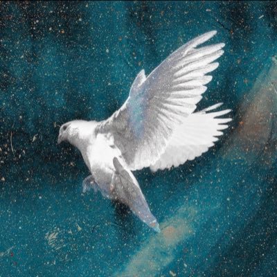 Preventing Suicide by Faith (PSBF) is a Christian organization devoted to bringing religious & spiritual awareness to souls fighting against depression.