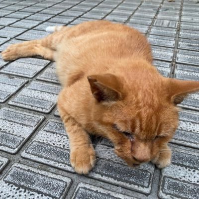 営業→マーケ→情シス 今は人手が足りず、SaaSベンチャー企業にて営業と情シスを兼務しております。 分からないことや学びを呟くアカウントです。 是非フォローしてください〜