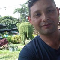 David (@david21561118) 's Twitter Profile