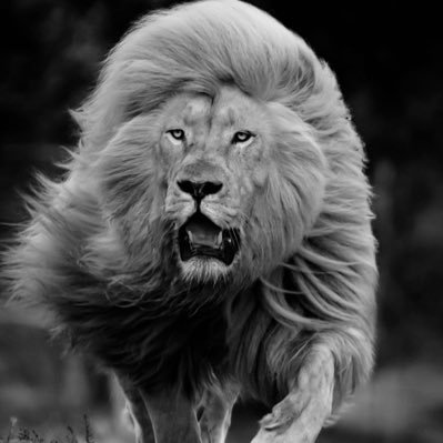 57xx57c's profile picture. 🇮🇶عراقي وافتخر 🇮🇶