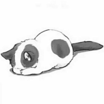 nachokuro's profile picture. electronics engineer