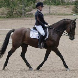 ErinPra55805922's profile picture. 💯💯💯💯💯💯💯💯💯💯follow back💯💯💯💯