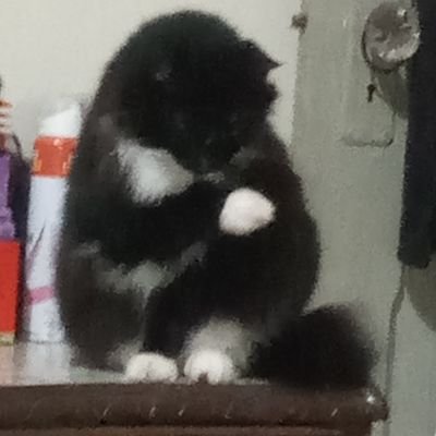 Weiny's profile picture. Tudo no seu devido lugar... Pq tem qm não aguenta confusão... E agora me parto pra ser inteira... hehehehe
Socióloga e contadora de causos.
Ela/dela