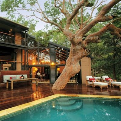 CngNguy24580211's profile picture. 