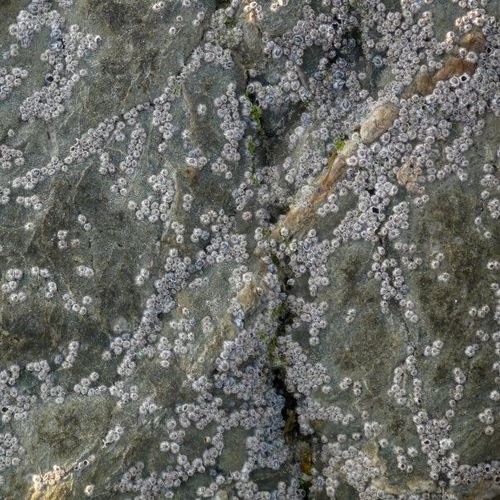 isoeeclaremont's profile picture. words stashed and sheltered...