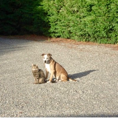 JasonFo70389990's profile picture. 🇳🇿