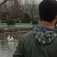murat (@muratqy1) 's Twitter Profile