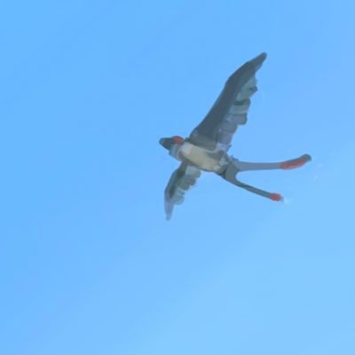 そのにのゆきいち❂▶︎🦋固定さんのプロフィール画像