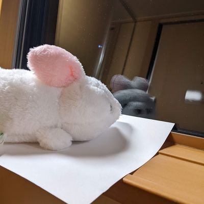 脳筋なレイブンクロー生