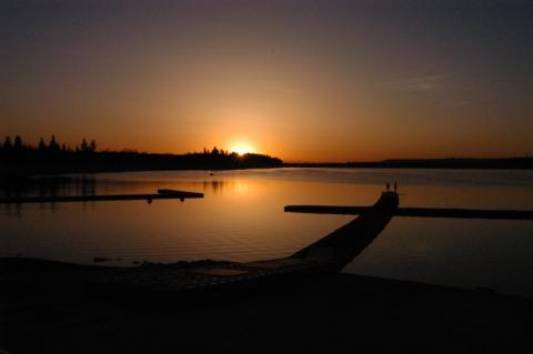 zambonipilotyyc's profile picture. 