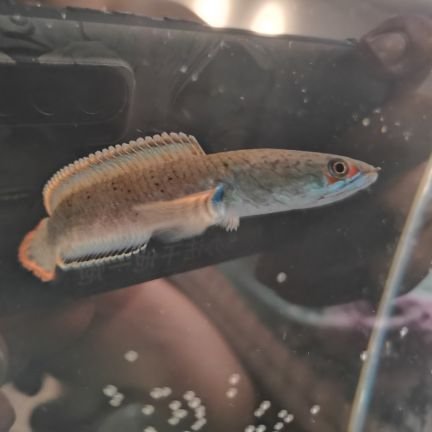 ycc75763744's profile picture. 我是你爹