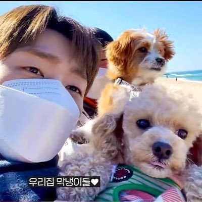 DANGEUN0308's profile picture. 보온중