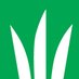 DLF (@dlf_seeds) Twitter profile photo DLF (@dlf_seeds) Twitter profile photo