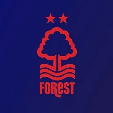 An account for female #nffc fans, by female forest fans. #HerGameToo