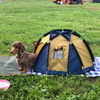 chama (@twchama) 's Twitter Profile