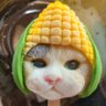 DreamBreaker16's profile picture. one of web3 users
