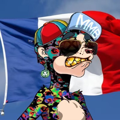 Follow the FrenchMeerkat 🐇

#CROFAM #HiddenFishDAO #MadMeerKat #BoomerSquad