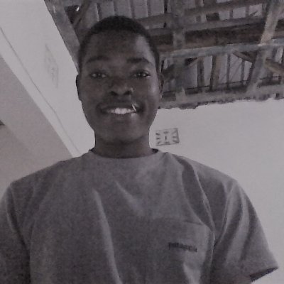 ronney_otieno11's profile picture. Technocrat || Student