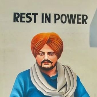 Webhost000's profile picture. kdjdidjdjfjdjfjx