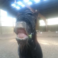 mari (@mari75313442) 's Twitter Profile Photo