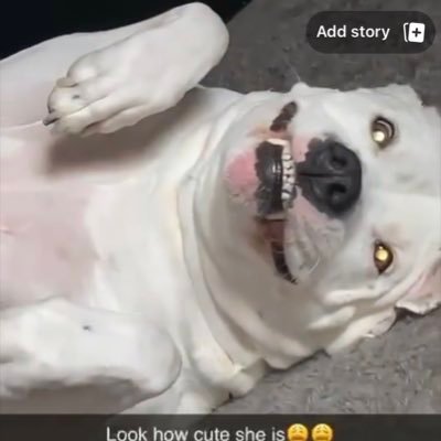 Katherinediben1's profile picture. Me