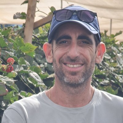 MosheMayafit's profile picture. Director of Product SEO @ Coupang