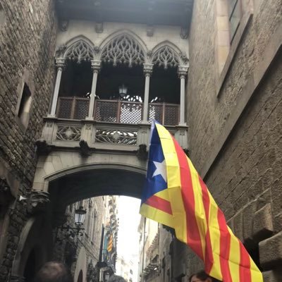 Primer tinent alcalde de l’Ajuntament de Bot @JuntsXCat.