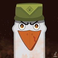 Кримські Бойові Чайки(@CombatSeagull) 's Twitter Profile Photo