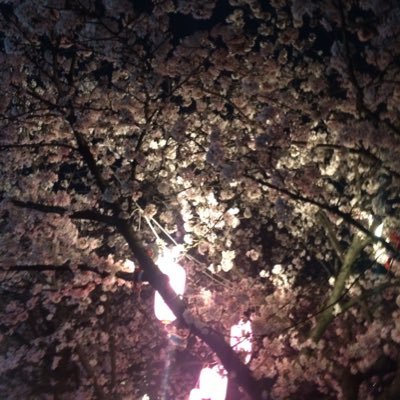 福岡に住んでます！ 色々とよろしくお願いします🫡